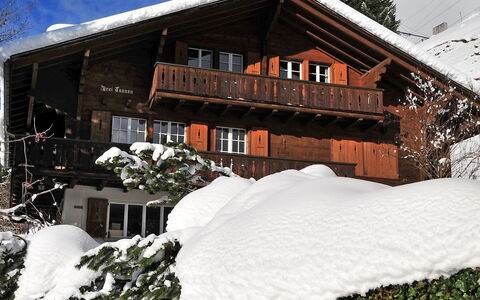 Drei Tannen: Neige, L'Hiver, Maison, Propriété, Domicile, Gelé, Bâtiment, Toit, Chalet, Immobilier