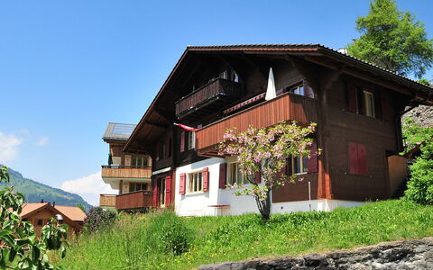 Eigersonne: Maison, Propriété, Bâtiment, Domicile, Chalet, Immobilier, Ferme, Architecture, Zone Rurale, Biens