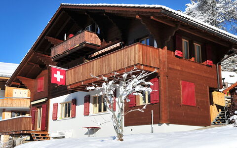 Eigersonne: Bâtiment, Ciel, Fenêtre, Neige, Pente, Maison, Bois, Arbre, Chalet, Siding