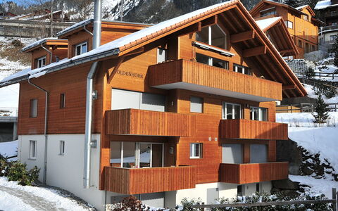 Wengen 22: Neige, Bâtiment, Fenêtre, Plante, Bois, Maison, Arbre, Pente, Biome, Chalet