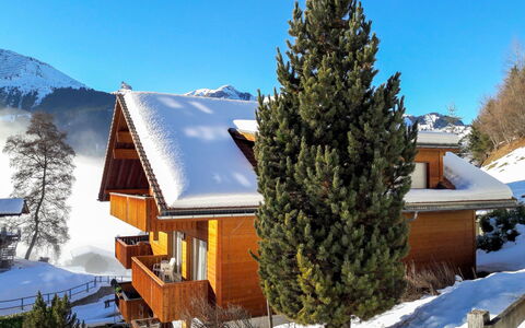 Wengen 22: Ciel, Neige, Bâtiment, Plante, Montagne, Arbre, Mélèze, Branche, Maison, Pente