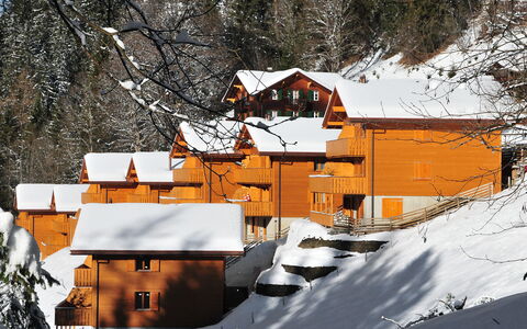 Wengen 34: Bâtiment, Neige, Fenêtre, Monde, Pente, Montagne, Arbre, Maison, Gelé, Biome