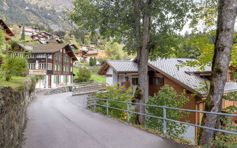 Roossihuus Apt.s: Arbre, Maison, Domicile, Zone Rurale, Établissements Humains, Station De Montagne, Chaîne De Montagnes, Pente, Village