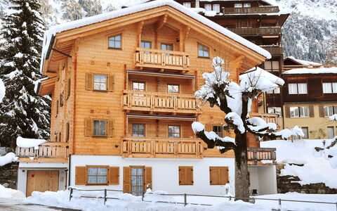 Alpina Apt. Ch: Neige, Bâtiment, Propriété, Fenêtre, Monde, Pente, Maison, Bois, Arbre, Zone Résidentielle