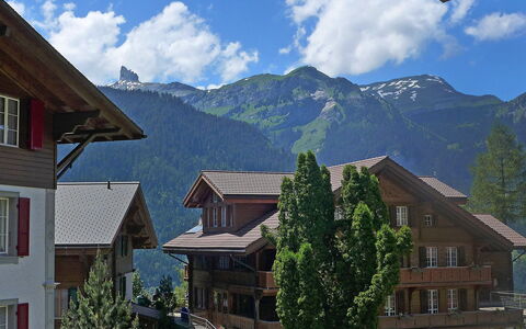 Alpina Apt. Ch: Montagne, Montagnes Relief, Village De Montagne, Propriété, Chaîne De Montagnes, Toit, Station De Montagne, Alpes, Domicile, Maison