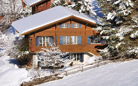 Arche: Neige, Plante, Bâtiment, Propriété, Fenêtre, Brindille, Arbre, Maison, Branche, Pente