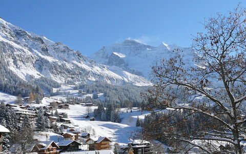 Wengen 602: Ciel, Montagne, Neige, Pente, Paysage Naturel, Arbre, Gelé, Montagnes Relief, Paysage, Chaîne De Montagnes