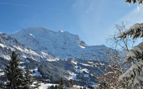 Wengen 602: Ciel, Neige, Montagne, Nuage, Pente, Paysage Naturel, Plante, Terrain, Arbre, Gelé