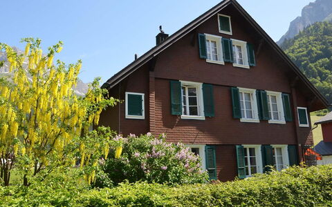 Hälmehois: Maison, Domicile, Chalet, Zone Rurale, Ferme, Siding, Haie, Villa