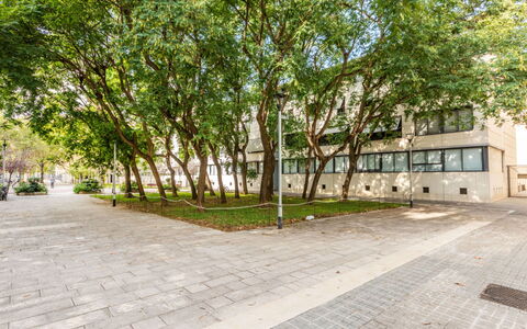 Vila Olimpica Pamplona: Arbre, Branche, Espace Public, Ombre, Suppression Des Plantes Ligneuses, Trottoir, Passerelle
