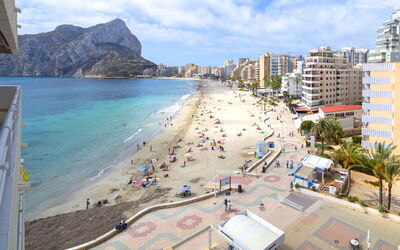 Logement:&nbsp;Esmeralda 898.5