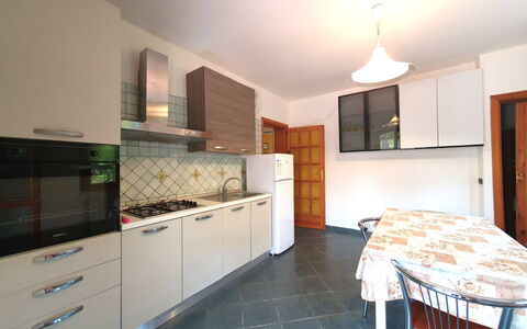 Orchidea: Sol, Design Intérieur, Sol, Bois, Cuisine, Meubles, Comptoir, Appareil De Cuisine, Plafond, Pièce
