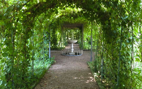 Villa Quattro Mori: Jardin, Pelouse, Aménagement Paysager, Ombre, Mobilier De Jardin, Parc, Hacienda, Biens, Cour, Eco Hôtel