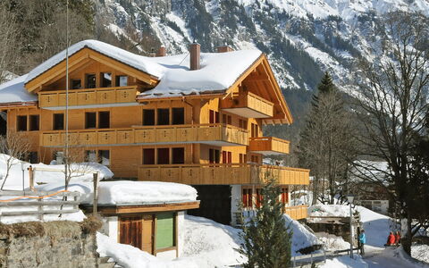 Bergfrieden Apt. 2: Neige, Bâtiment, Fenêtre, Montagne, Plante, Maison, Arbre, Pente, Gelé, Biome