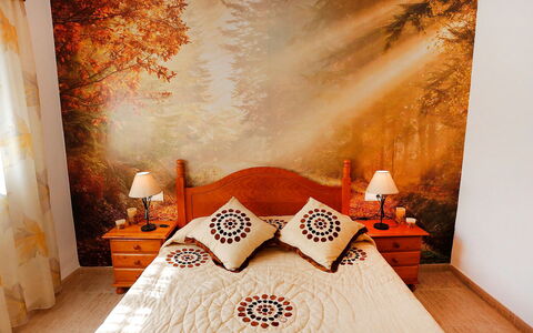 Vicky: Chambre, Pièce, Orange, Propriété, Design Intérieur, Mur, Lit, Meubles, Fond D'Écran, Drap De Lit