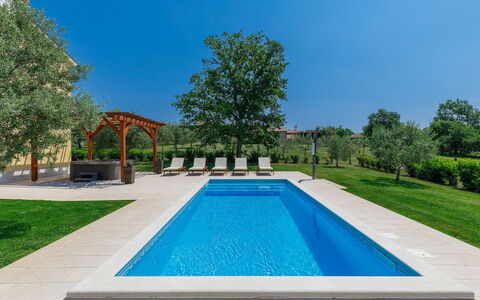 Blog 1: L'Eau, Plante, Jour, Propriété, Ciel, Piscine, Botanique, La Nature, Bleu Azur, Rectangle