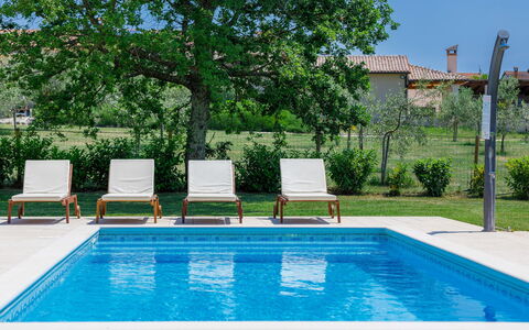 Blog 1: L'Eau, Plante, Propriété, Piscine, Vert, La Nature, Bleu Azur, Rectangle, Ciel, Ombre