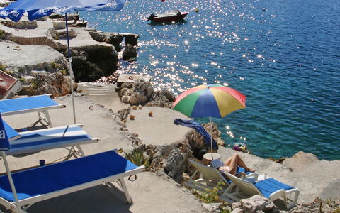 Carmen: Parapluie, Vacances, Plage, Tourisme, Mer, Côte, L'Eau, Été, Arbre