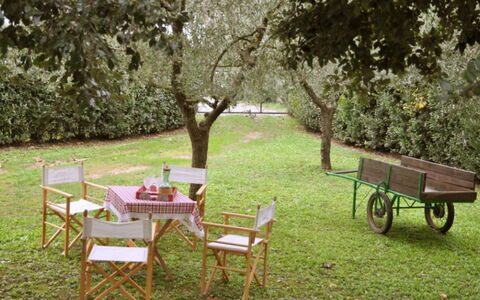 Casetta Ponticelli: Table, Meubles, Tableau De Plein Air, Herbe, Arbre, Cour, Pelouse, Arrière-Cour, Jardin, Mobilier De Jardin