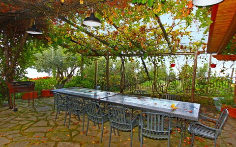 'O Pignatiello: Arbre, Table, Feuille, Pièce, Meubles, Botanique, Maison, Plante, Patio, L'Automne