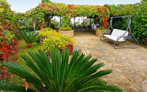 'O Pignatiello: Végétation, Fleur, Plante, Jardin, Botanique, Agave, Xanthorrhoeaceae, Communauté Des Plantes, Paysage, Herbe