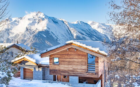 Nendaz 654: Ciel, Neige, Montagne, Propriété, Bâtiment, Paysage Naturel, Maison, Pente, Fenêtre, Arbre