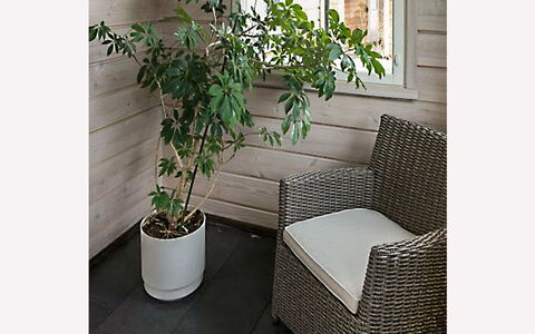 Tervaharju: Bois, Siding, Chalet, Maison, Domicile, Planche, Batiments Jardin, Cabane En Rondins, Dur, Porche