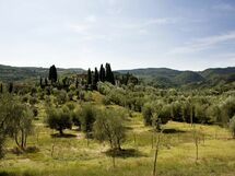 Cerchi