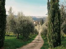 Cerchi