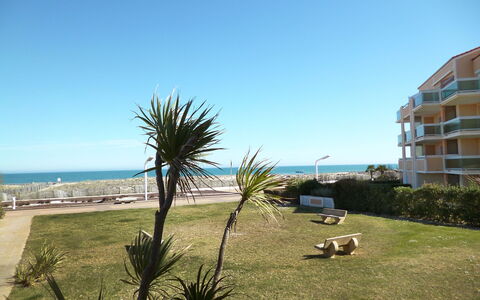 Le Barcarès 480: Ciel, Propriété, Jour, Arbre, Plage, Palmier, Vacances, Mer, Océan, Immobilier