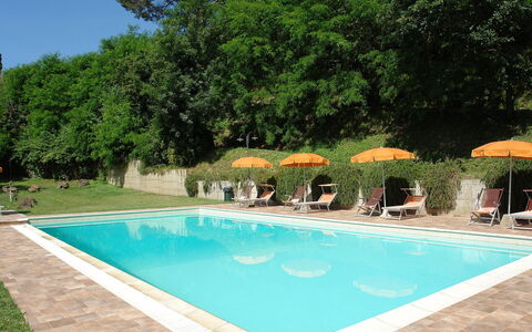 La Gora: Piscine, Propriété, Loisir, Herbe, Maison, Immobilier, Arrière-Cour, Recours, Vacances, Bâtiment