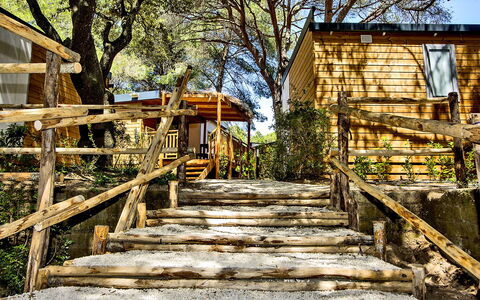 Castiglione della Pescaia 125: Escaliers, Fenêtre, Arbre, Branche, Bois, Plante, Bâtiment, Paysage Naturel, Surface De La Route, Lumière Du Soleil