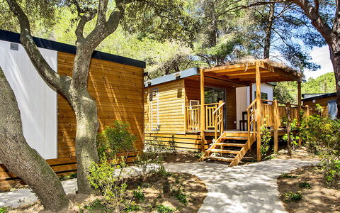 Castiglione della Pescaia 125: Plante, Propriété, Bâtiment, Arbre, Bois, Ombre, Paysage Naturel, Fenêtre, Lumière Du Soleil, Lot Terre
