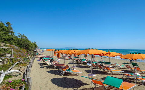 Castiglione della Pescaia 125: Ciel, L'Eau, Plante, Parapluie, Environnement Naturel, Mobilier De Jardin, Arbre, Plage