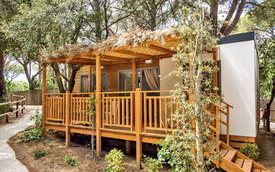 Logement:&nbsp;Deluxe 125.2