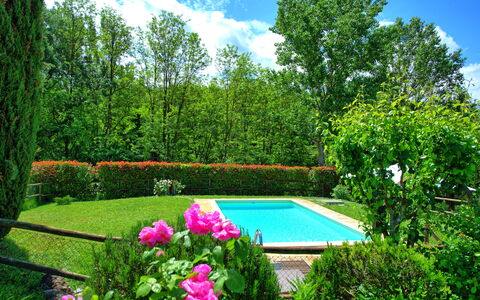 Casa Ovile: Fleur, L'Eau, Plante, Ciel, Nuage, Vert, Paysage Naturel, Botanique, Arbre, Végétation