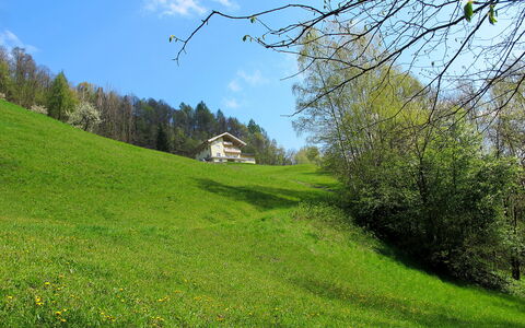 Goldegg 300: Ciel, Plante, Nuage, Paysage Naturel, Pente, Végétation, Lumière Du Soleil, Arbre, Lot Terre