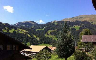 Strubeli