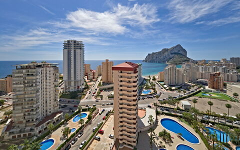 Logement:&nbsp;Coral Beach 958.5