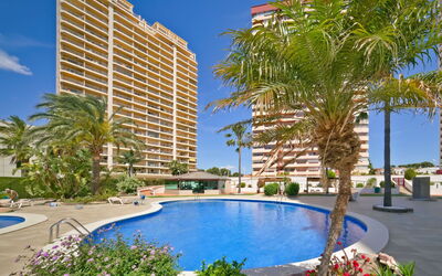 Logement:&nbsp;Coral Beach 958.6