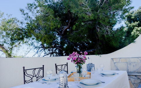 La Yaya: Table, Restaurant, Arbre, Nappe De Table, Branche, Maîtresse, Réception De Mariage, Fleur, Meubles, Arrière-Cour