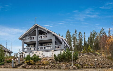 Wäinämöinen: Chalet, Maison, Domicile, Batiments Jardin, Siding, Cabane En Rondins, Ferme, Biens, Cabanon, Cour