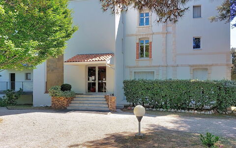 Le Platin: Arbuste, Zone Résidentielle, Domicile, Jardin, Biens, Ombre, Aménagement Paysager, Cour, Allée, Villa