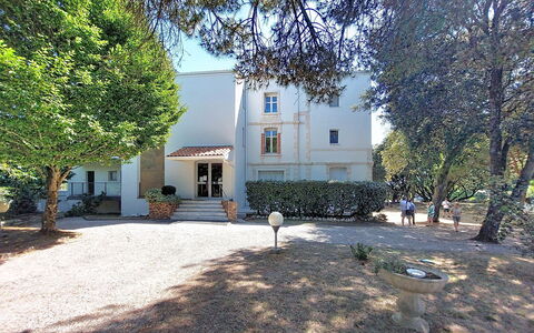 Le Platin: Arbre, Branche, Domicile, Biens, Jardin, Cour, Aménagement Paysager, Allée, Villa, Manoir