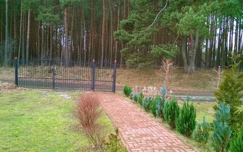 Smołdziński Las: Arbre, Paysage Naturel, Réserve Naturelle, Environnement Naturel, Herbe, Passerelle, Famille Grass, Des Bois, Biome, Botanique
