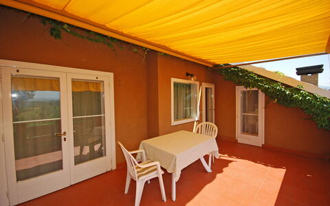 Logement:&nbsp;Aloe 2