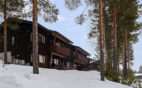 Kerttu: Chalet, Maison, Domicile, Batiments Jardin, Siding, Cabane En Rondins, Ferme, Biens, Cabanon, Cour