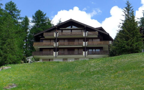 Sonnhalde B: Propriété, Maison, Bâtiment, Domicile, Chalet, Cabane En Rondins, Montagne, Immobilier, Lot Terre, Arbre