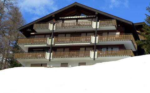 Sonnhalde B: Ciel, Bâtiment, Nuage, Fenêtre, Arbre, Maison, Neige, Pente, Bois, Façade