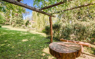 Campagnano Di Roma 20: Arbre, Propriété, Herbe, Tronc, Immobilier, Suppression Des Plantes Ligneuses, Des Bois, Forêt, Table, Plante